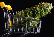 Wait, Should I Buy Weed from My Dealer or That New Dispensary on the Block?