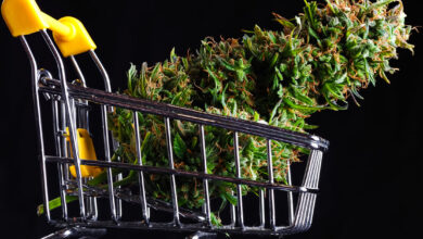 Wait, Should I Buy Weed from My Dealer or That New Dispensary on the Block?