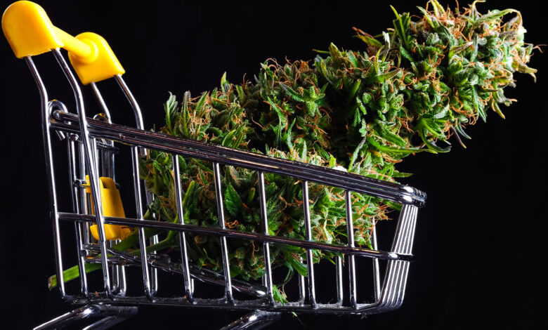 Wait, Should I Buy Weed from My Dealer or That New Dispensary on the Block?