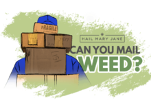All You Need To Know And Best Practices To Ship Weed