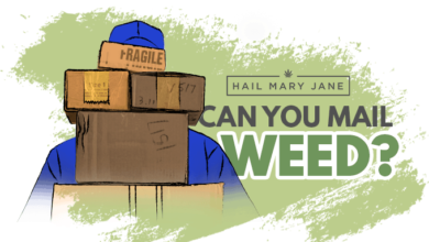 All You Need To Know And Best Practices To Ship Weed